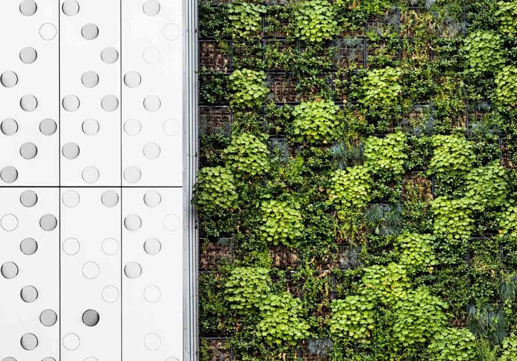 Constrói o teu próprio jardim vertical em casa em 6 passos title