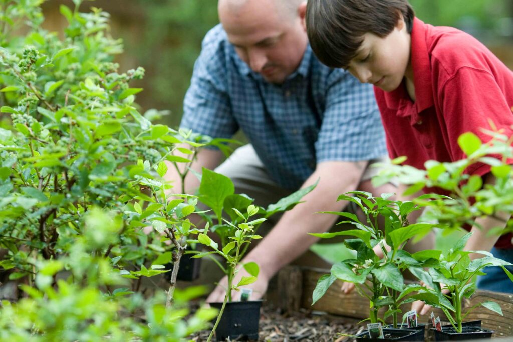 Compostagem caseira: está na hora de pores as mãos na terra title