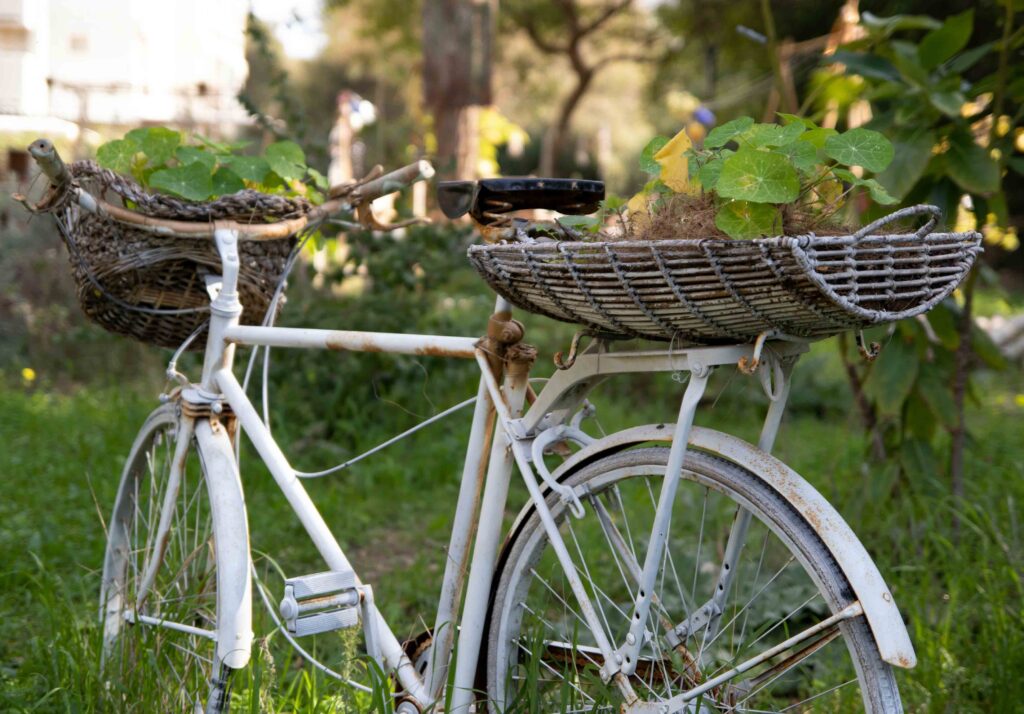 Da estrada para casa: reaproveita bicicletas antigas para decoração title