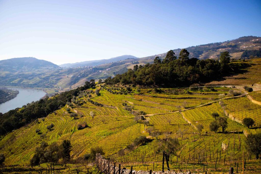 Rota do Douro: vem ver as folhas a mudar de cor! title