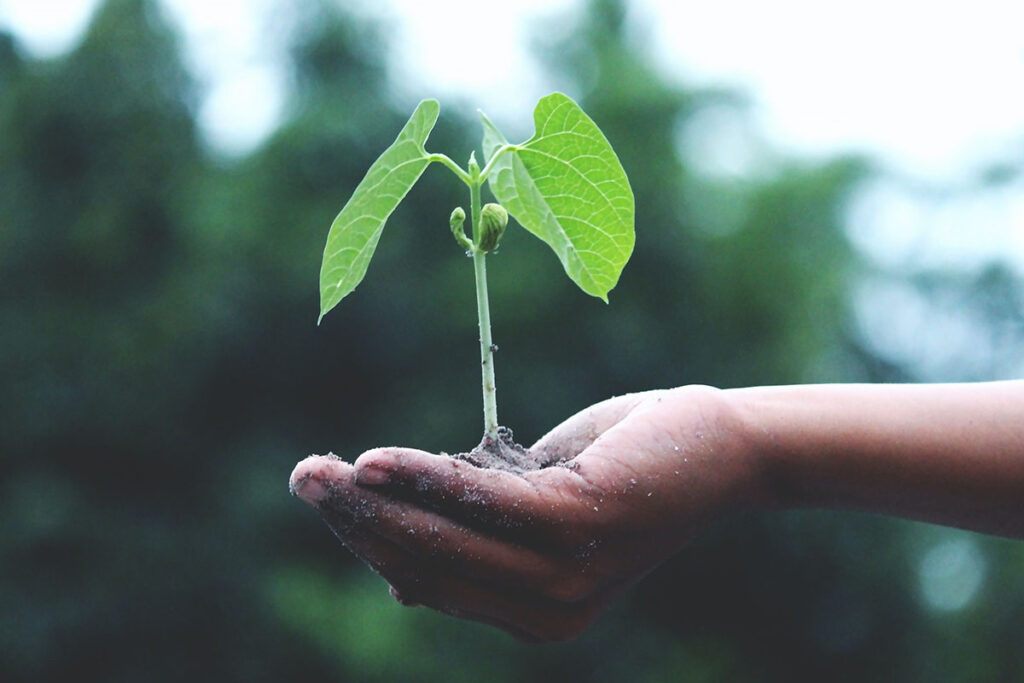 Fundo Ambiental: descobre o apoio para tornar as casas mais sustentáveis title