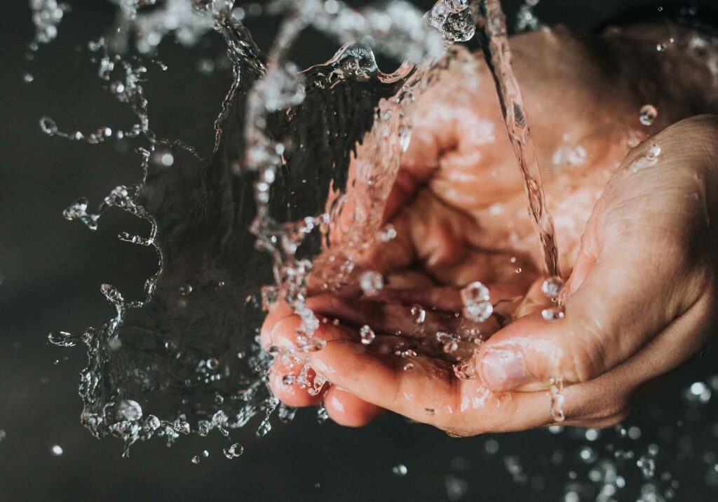 Dia Mundial da Água: como poupar água em casa title