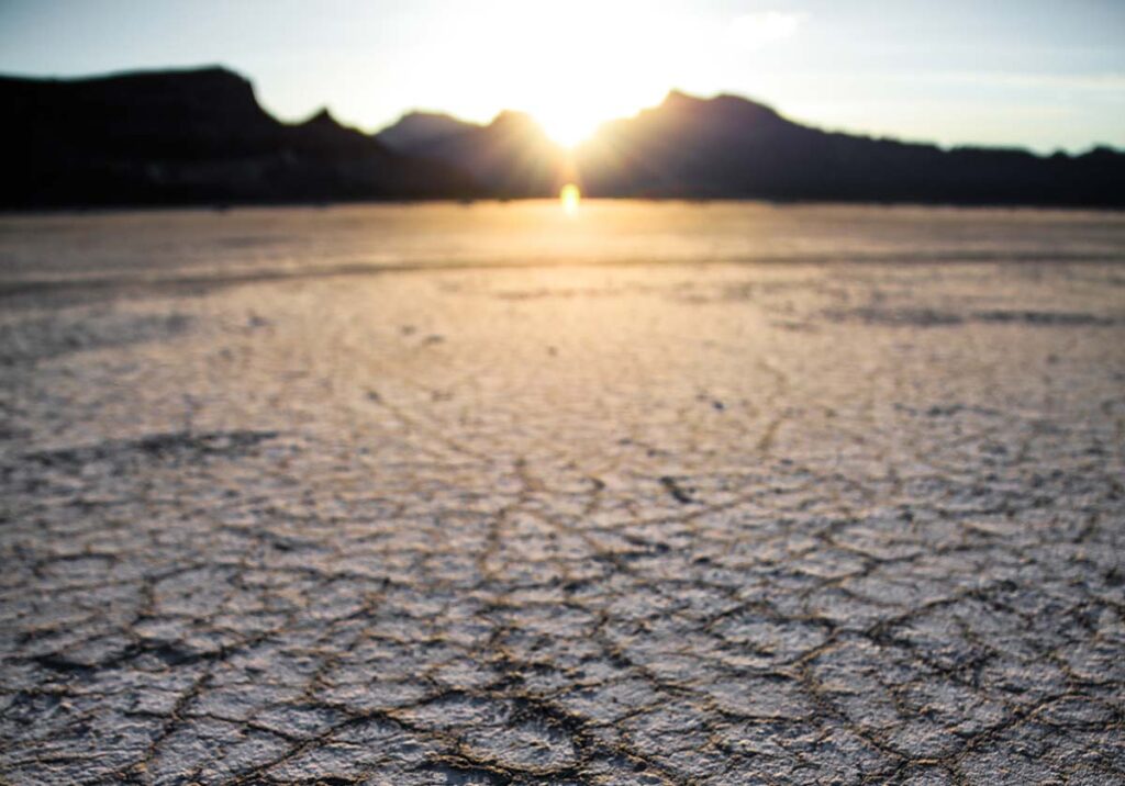 10 iniciativas simples para combater as alterações climáticas title