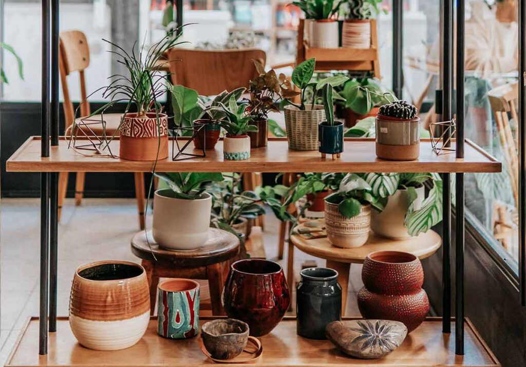 Vasos para plantas: como escolher o melhor para cada tipo de planta title