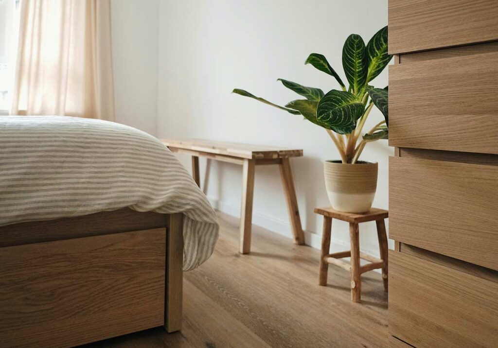 10 plantas para quarto que melhoram o sono title