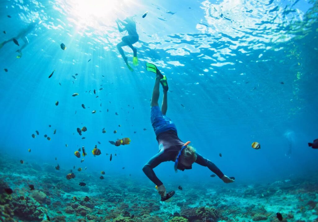 Snorkeling: 10 produtos essenciais title